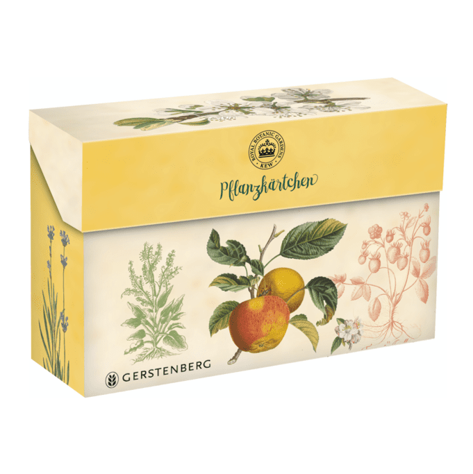 Papeterie Pflanzkärtchen für das Gartenbeet von Gerstenberg