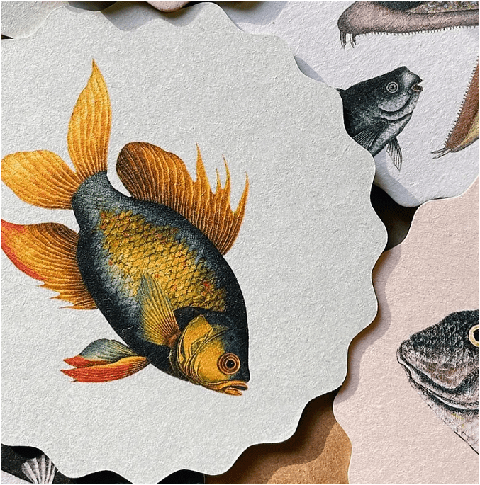 30x40 Untersetzer Coaster Motiv Fische aus hochwertigem Recycling Filz - 10 verschiedene Fischmotive pro Set - doppelseitig bedruckt