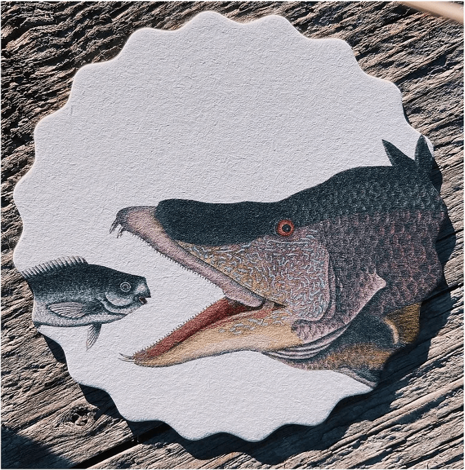 30x40 Untersetzer Coaster Motiv Fische aus hochwertigem Recycling Filz - 10 verschiedene Fischmotive pro Set - doppelseitig bedruckt – Bild 5