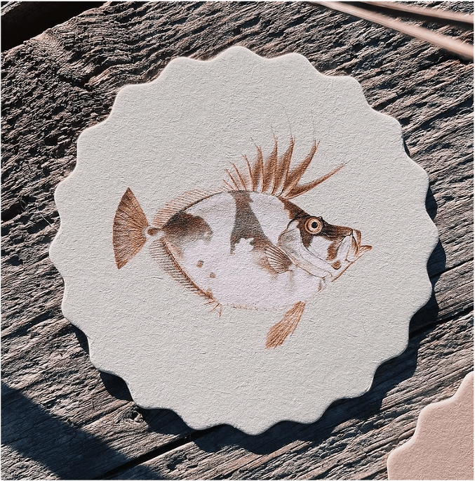30x40 Untersetzer Coaster Motiv Fische aus hochwertigem Recycling Filz - 10 verschiedene Fischmotive pro Set - doppelseitig bedruckt – Bild 4