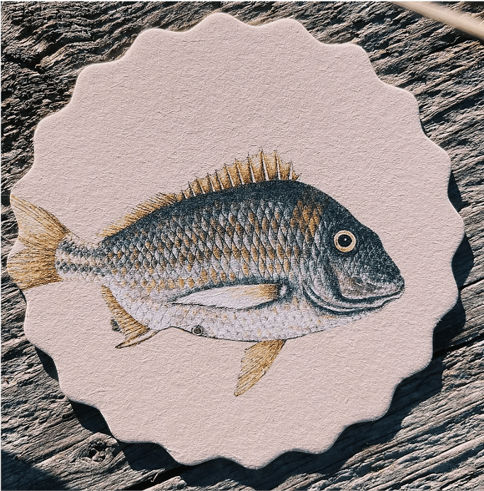 30x40 Untersetzer Coaster Motiv Fische aus hochwertigem Recycling Filz - 10 verschiedene Fischmotive pro Set - doppelseitig bedruckt – Bild 3