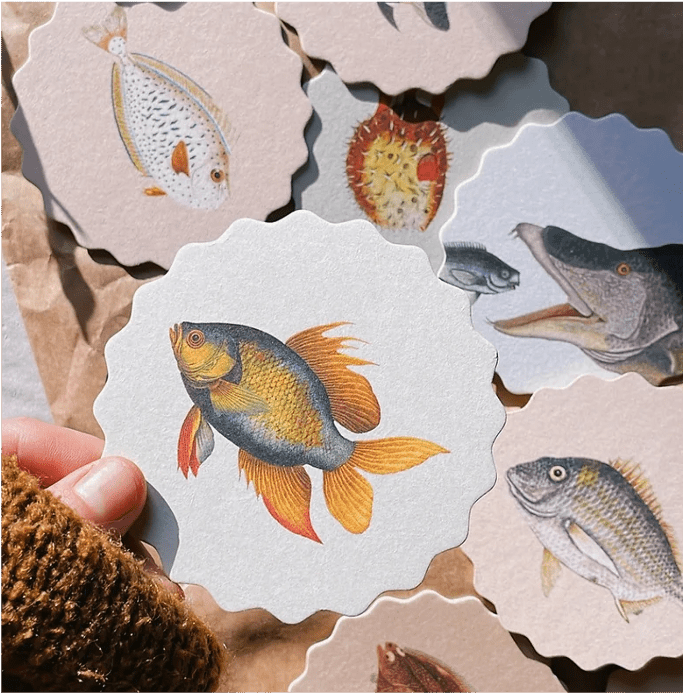 30x40 Untersetzer Coaster Motiv Fische aus hochwertigem Recycling Filz - 10 verschiedene Fischmotive pro Set - doppelseitig bedruckt – Bild 8